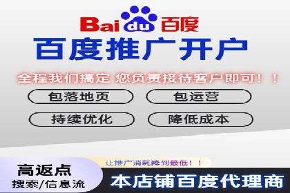 实战经验：SEM网络推广打造行业领军品牌